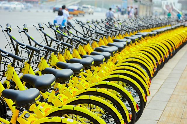 Bike Rentals