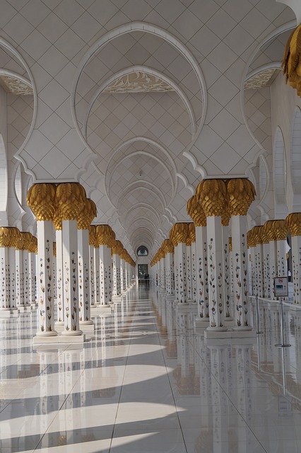 Discover Abu Dhabi: Guided Bus Tours with Delicious Meals