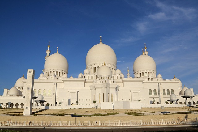 Private Tour Dubai to Abu Dhabi: Sheikh Zayed Mosque & Cultural Marvels