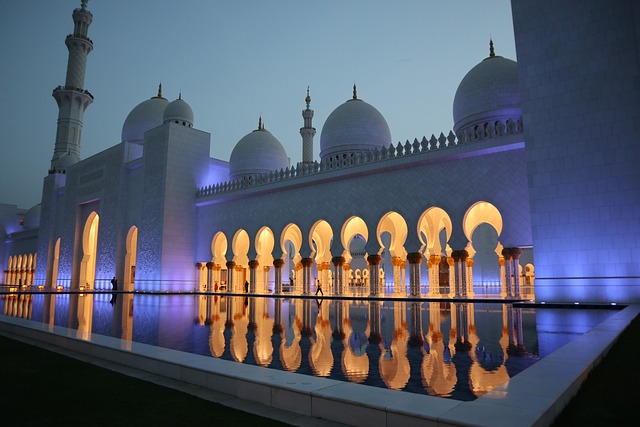 Discover Abu Dhabi: A Cultural & Natural Half-Day Tour Highlights