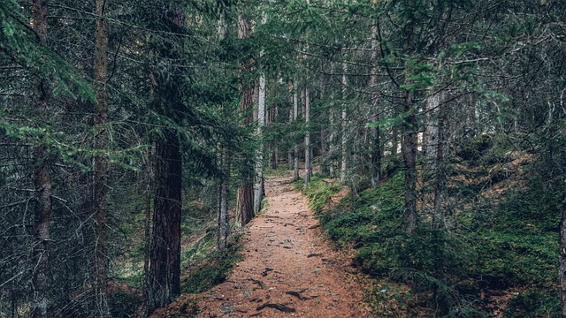 Adventure Trails