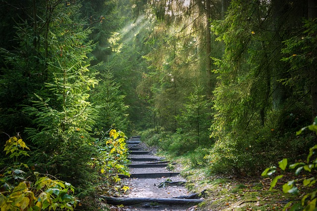 Adventure Trails