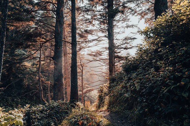 Adventure Trails