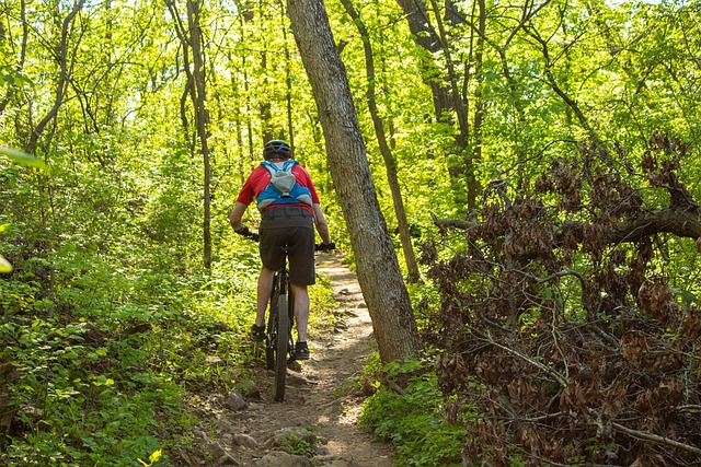 Adventure Trails