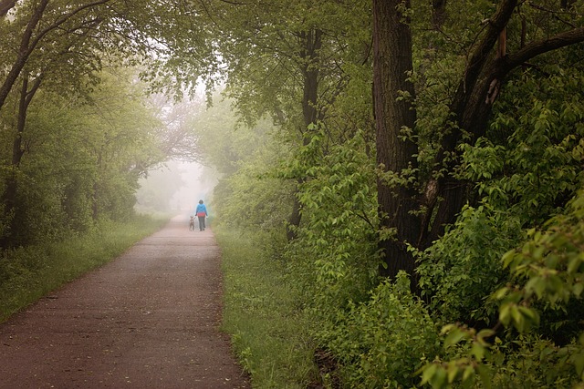 Adventure Trails