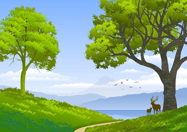 Adventure Trails