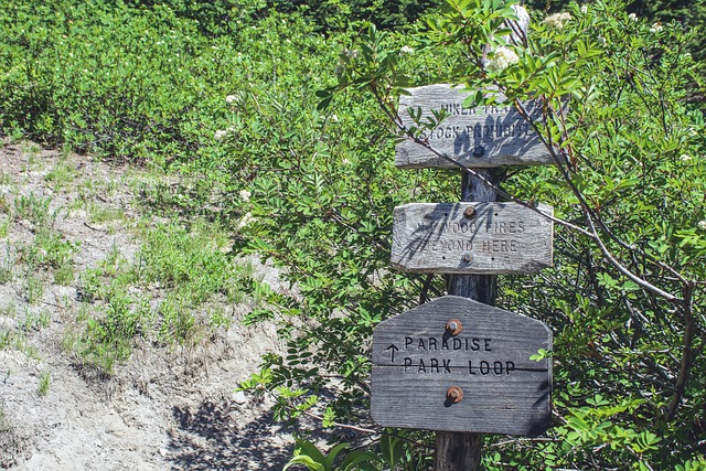 Adventure Trails