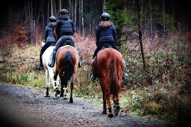 Affordable Rides