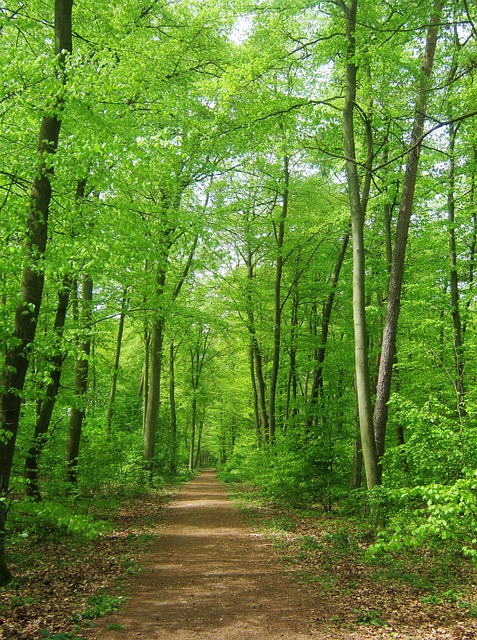 Affordable Tours
