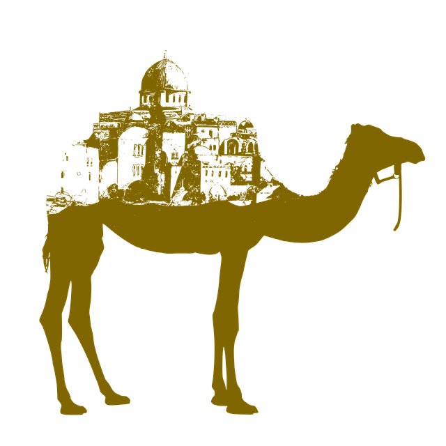 Al Quoz Recovery