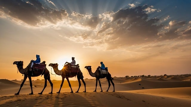 Unveiling Dubai’s Desert Magic: Top Morning Safari Experiences