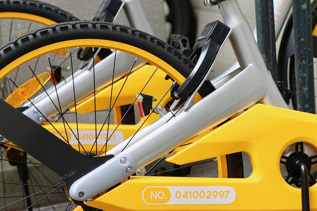 Bike Rentals