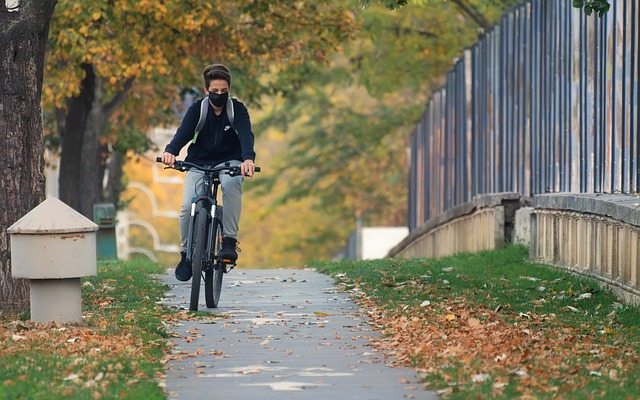 Bike Rentals