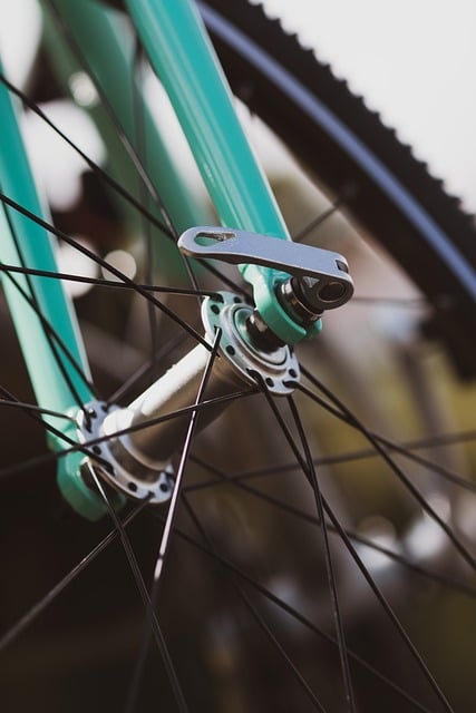 Bike Rentals