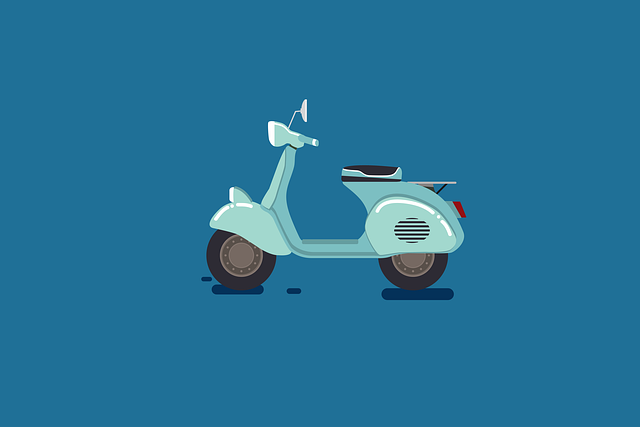 Bike Rentals