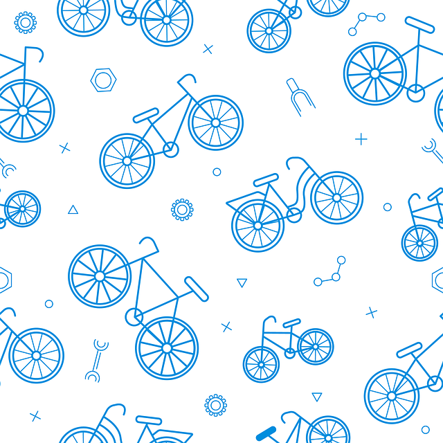 Bike Rentals