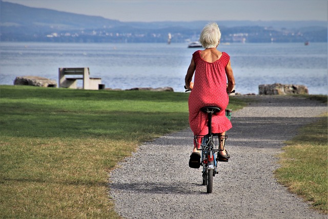 Bike Rentals
