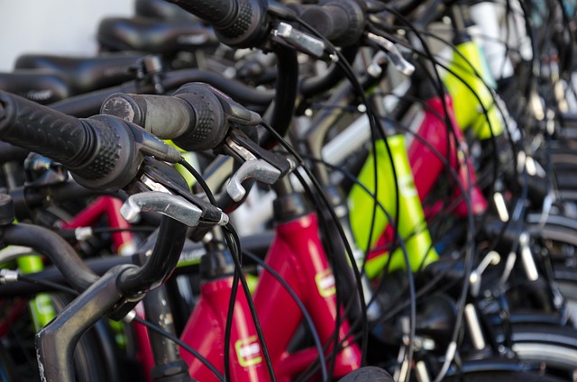 Bike Rentals