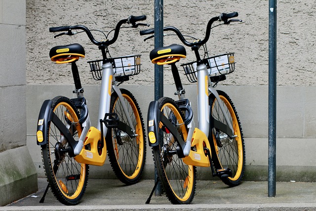 Bike Rentals