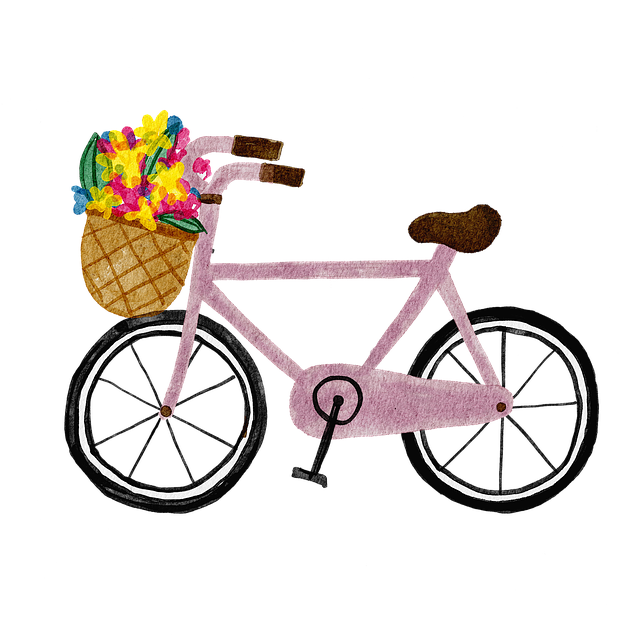 Bike Rentals