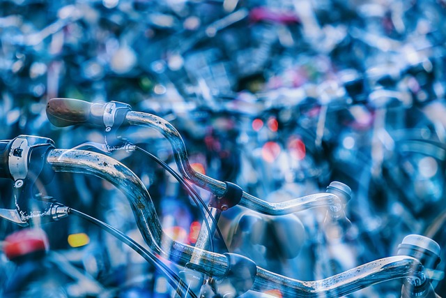 Bike Rentals