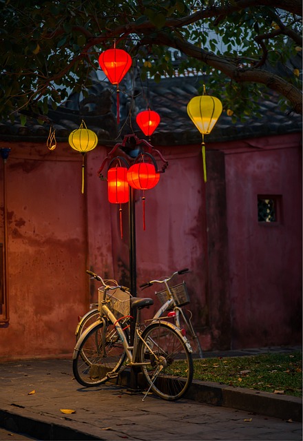 Bike Rentals