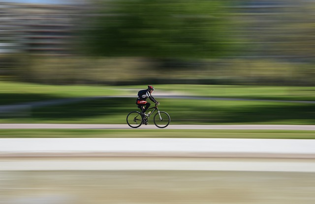Bike Rentals