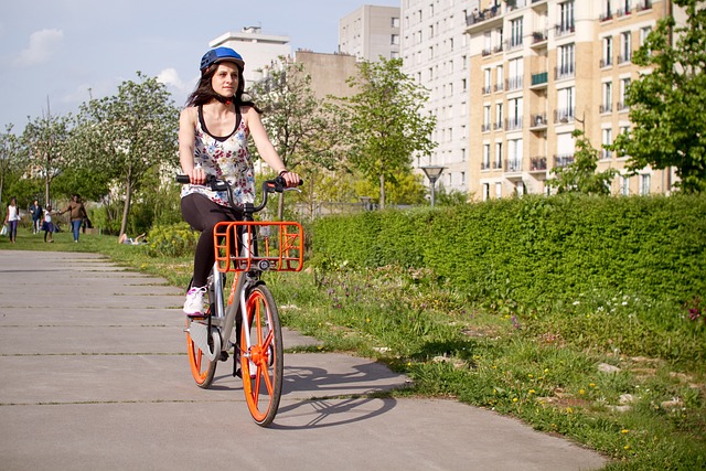 Bike Rentals