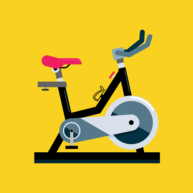 Bike Rentals