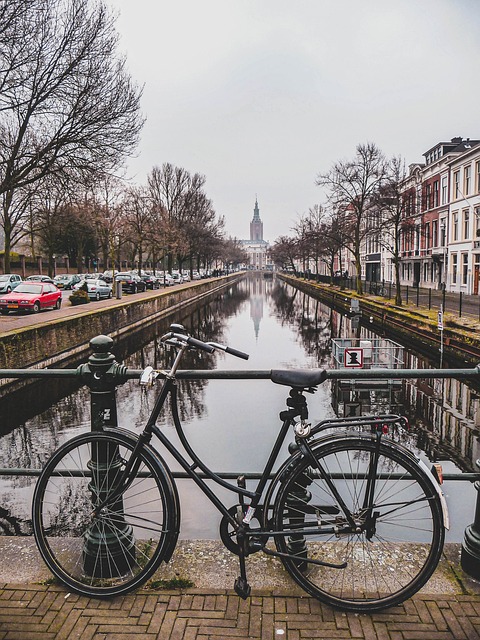 Bike Rentals