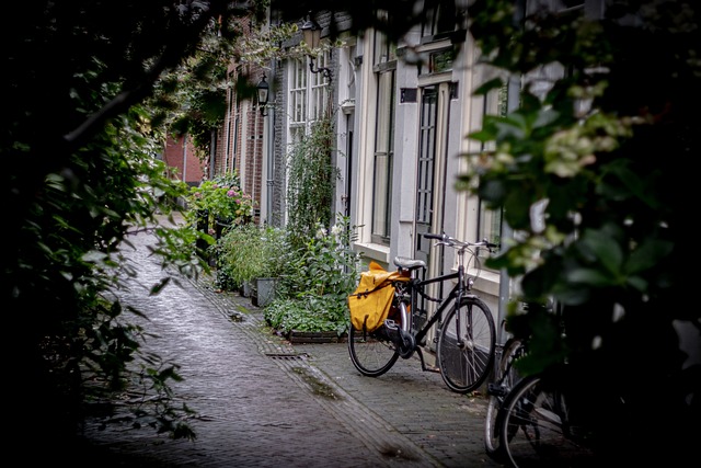 Bike Rentals