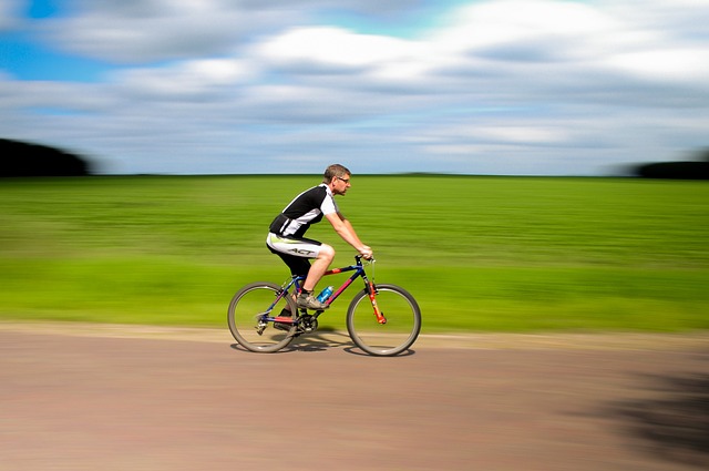 Bike Rentals