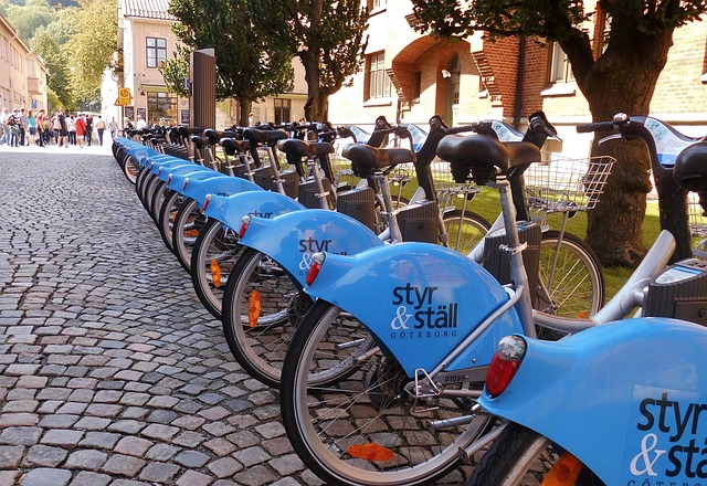 Bike Rentals