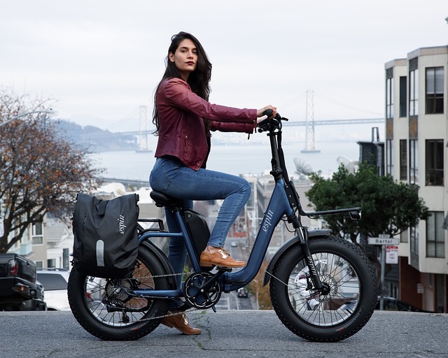 Bike Rentals