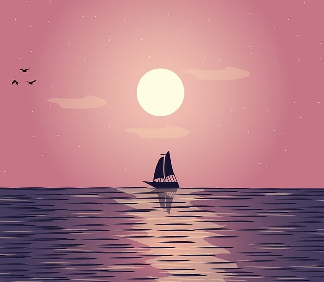 Boat Rentals