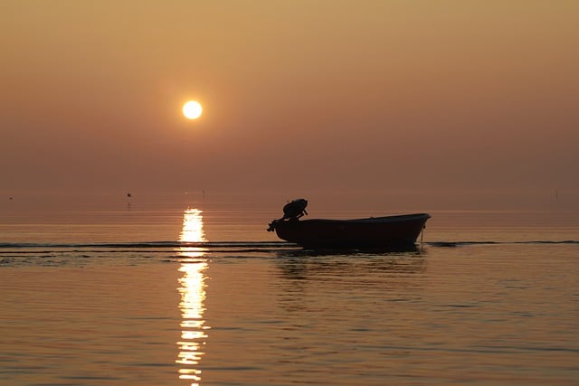 Boat Rentals