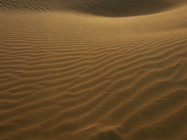 Dubai’s Buggy Dunes: An Adventure Guide for Enthusiasts