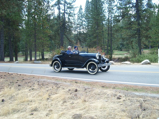 Buggy Rentals