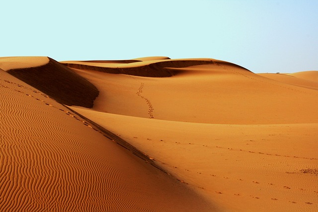 Buggy Ride Desert Dubai: Adventures in the Sand