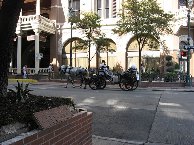 buggy tour