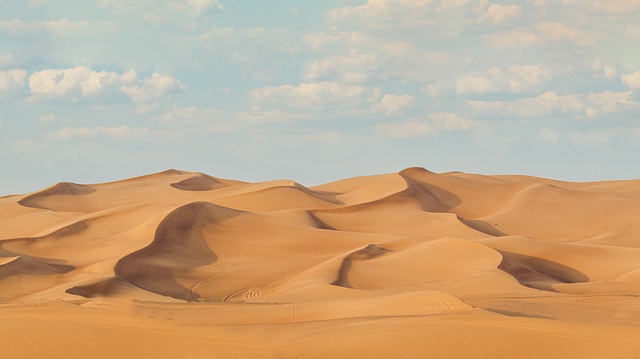 desert safari bike ride