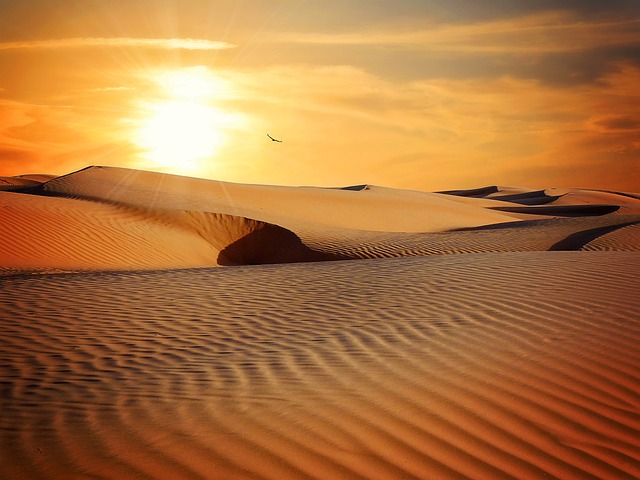 desert safari bike ride