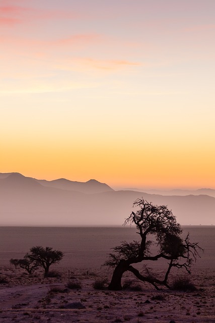 Maximize Your Desert Safari Deal: Key Strategies for an Unforgettable Experience