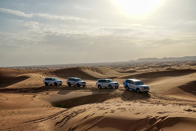 Unveiling Desert Magic: Dubai BBQ Safari Adventure