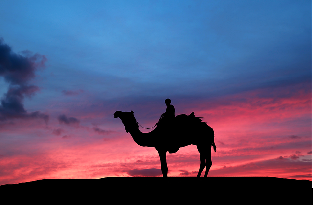 Desert Safari Dubai with Camel Riding