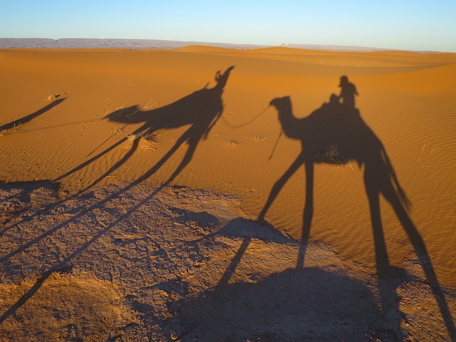 Desert Safari Dubai with Camel Riding