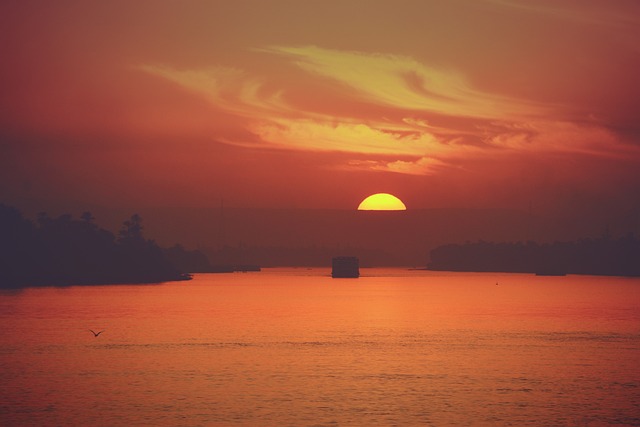 Dhow Cruise at Sunset