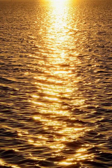 Dhow Cruise at Sunset