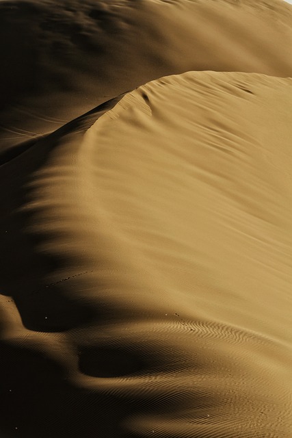 Discovering Affordable Dubai Desert Safari Groupon Adventures