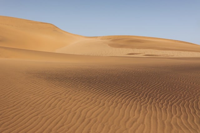 Dubai Quad Desert: Speed, Sand, and Stunning Scenery Off-Road Adventure